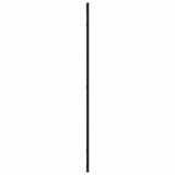 Wall Mirror Black 50x100 cm Rectangle Iron 358630