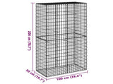 Gabion Basket with Cover 100x50x200 cm Galvanised Iron 3295166