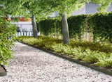 Lawn Edging 10 pcs Olive Green 100 x 0.05 x 15 cm 865930