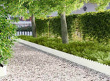 Lawn Edging 20 pcs 103 x 25 cm Steel White 8008697