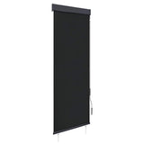 Outdoor Roller Blind 60x250 cm Anthracite 145946