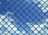 Chain Link Fence Steel 25x0.8 m Grey 142428