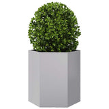 Garden Planter 2 pcs Hexagon 46x40x45 cm Galvanized Steel 851119