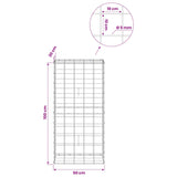 Gabion with 5 mm Wire and 10x10 cm Mesh 50x30x100 cm 3465115