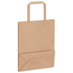 ZNTS Paper Bags 250 pcs with Handles Brown 18x8x22 cm 4101810