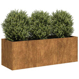 Planter Rusty 120x40x40 cm Weathering Steel 860681