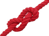 Rope Red 2 x 2 x 2500 cm Cotton 42011922