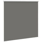 ZNTS Roller Blind Blackout Grey 165x130 cm Fabric Width 161.6 cm Polyester 4011115