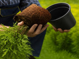 Flower Pot 200 pcs Black 15 x 13 cm Plastic 42029495