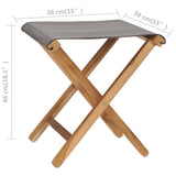 Folding Chair Set of 2 Dark Grey, Teak 310670