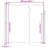 ZNTS Retractable Side Awning White 220x300 cm 4004376