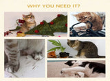 Cat Tree 01255332