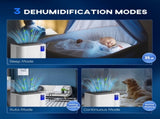 12L/Day Dehumidifier, with Filter - White T3398P423070