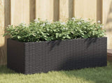 Garden Planters with 2 Pots 2 pcs Black 72x30x32 cm Poly Rattan 3210528