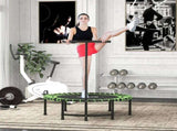 Exercise Trampoline 13212394