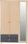 ZNTS Brooklyn 3 Door 2 Drawer Mirrored Wardrobe 100-101-192