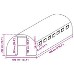 Greenhouse Replacement Cover 400x600x200 cm Green 316445