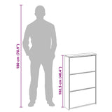 Shoe Cabinet with Mirror 3-Layer Black 63x17x102.5 cm 342635
