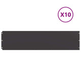 Lawn Edgings 10 pcs Black 25x103 cm Cold-rolled Steel 860166