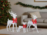 3-Piece Lighted Christmas Reindeer Set Outdoor Decorations, Weather Proof Sparkling Deer 21962879