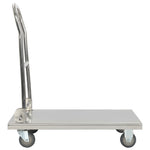 ZNTS Platform Wagon Silver 82x53x86 cm Stainless Steel 50919