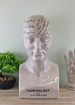 Large Ceramic Phrenology Head 42cm CHA462