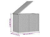 Garden Cushion Box PE Rattan 100x49x103.5 cm Black 317223