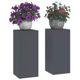 Plant Stand 2 pcs Anthracite 24 x 24 x 55 cm Steel 865815