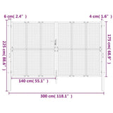 Garden Gate Anthracite 300x175 cm Steel 154569