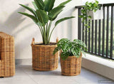 Planter Basket GENDT 2 pcs Natural Brown Kubu Rattan 42020958