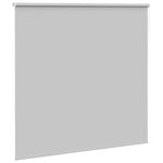 ZNTS Roller Blind Blackout Light Grey 165x130 cm Fabric Width 161.6 cm Polyester 4011375