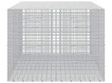 Gabion with 3.5 mm Wire and 5x5 cm Mesh 300x100x100 cm 3462432