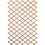 ZNTS Nature Garden Trellis 100x300 cm Wood Brown 419779