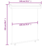 ZNTS Balcony Side Awning 145x250 cm Black 48424