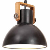 320536 Industrial Hanging Lamp 25 W Black Round 30 cm E27