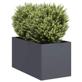 ZNTS Planter Anthracite 40x80x40 cm Cold-rolled Steel 860733