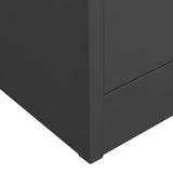 Office Cabinet Anthracite Steel, tempered glass Large 335949