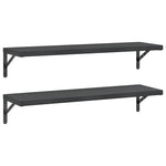 Wall Shelves 2 pcs 100x30 cm Black Stainless Steel 3214512