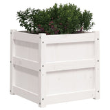Garden Planter White 50x50x50 cm Solid Wood Pine 837416