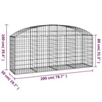Arched Gabion Basket 200x50x80/100 cm Galvanised Iron 153474