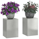 Plant Stand 2 pcs Silver 24 x 24 x 35 cm Stainless steel 865810