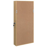 Mirror Jewellery Cabinet with LED Lights Wall Mounted 353249