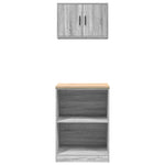 ZNTS Garage Cabinets 2 pcs Grey Sonoma Engineered Wood 3328283