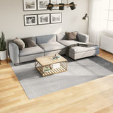 Rug IZA Short Pile Scandinavian Look Grey 200x280 cm 375455