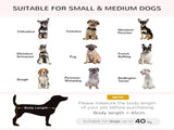 Elevated Dog Sofa Bed, with Cushion, for Medium and Small Dogs, Grey T3398P376486