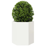 Garden Planter 2 pcs White Hexagon 46x40x45 cm Steel 851111