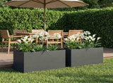 Garden Planter 2 pcs Anthracite 100 x 50 x 50 cm 8005279