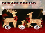 3-Piece Lighted Christmas Reindeer Set Outdoor Decorations, Weather Proof Sparkling Deer 82158509