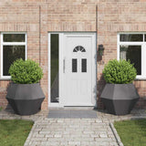 Planter 2 pcs Black 100 x 100 x 80 cm Steel 884025