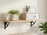 Wall Shelf Brackets 12 pcs Black 10 x 10 x 3 cm Steel 42038902